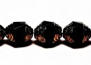 151-95-019 8x6mm 23980/14415