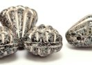 111-77-797 9x11mm 23980/96832