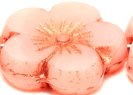 991-77-798 22x22mm 72000/55307