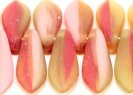 111-69-014 5x16mm x2660/84110