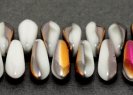 111-69-014 3x11mm 03000/29501