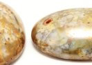 111-77-814 25x18mm 02010/15635