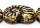 111-01-247 17x13mm 02010/86805/46769