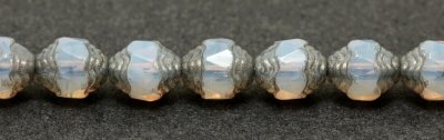 151-95-019 8x6mm 01000/13702